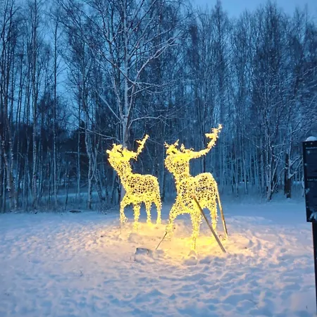 Apartament Penthouse